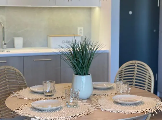 Plazowy 214 - 公寓 尼彻兹